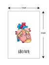 003_c32f5f77-df73-42ec-8a5f-14d2ddda8326 - iLearnngrow Learning Solutions Pvt Ltd