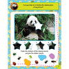 Sticker Activity Book - Jungle Animals