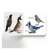 Lovely Board Books - Birds