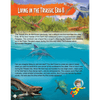 Explore Dinosaur World Encyclopedia