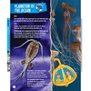 Explore Ocean World Encyclopedia