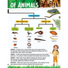 Explore Animal Kingdom Encyclopedia