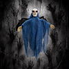 Animated Midnight Raven - Blue Winged
