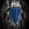 Animated Midnight Raven - Blue Winged