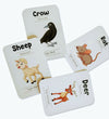 Animals Flash Cards | Pack Of 24