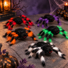 Haunted Tarantula – Set of 5