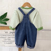 Spongy Lion Dungaree With Green Stripes T-Shirt