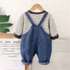 Spongy Lion Dungaree With Grey Stripes T-Shirt