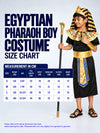 Black & Gold Egyptian Pharaoh Boy, Kids Halloween Costume Fancy Dress Up