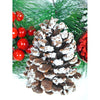 Big Frosty Pinecone Artificial Christmas Wreath | 15 Inches