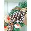 Mushroom Buds & Bushy Frosty Pinecone Artificial Christmas Wreath | 19 Inches