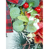Big Red & Black Checkered Bow Bushy Christmas Wreath Filled With Berries And Fillers | 20 Inches