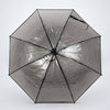 Black Beauty Jelly Transparent Umbrella for Teens & Adults