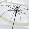 Green Big Border Transparent Umbrella for Teens & Adults
