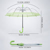 Green Big Border Transparent Umbrella for Teens & Adults