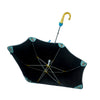 Newborn Dino Canopy Umbrella for Kids, 5 yrs - 8yrs