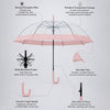 Peach Big Border Transparent Umbrella for Teens & Adults