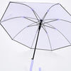 Purple Solid Black border Umbrella for Adults