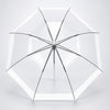 White Big Border Transparent Umbrella for Teens & Adults