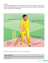 Learn to Play - Cricket