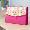 Pink Folder - Fable Fairies