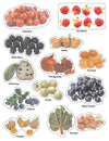 Play With Sticker - Fruit