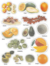 Play With Sticker - Fruit