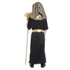 Halloween costume - Dynasty Pharaoh King