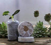 DIY Gardening Kit – Kids Gardening Set for Fun Plant Growing - iLearnngrow Learning Solutions Pvt Ltd