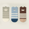 Bear Socks Bundle | Pack of 3