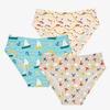 Young Girl Briefs | 3 Pack (Kid's Day Out)