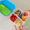 Mini Lunch Box | Ocean Breeze Blue Green