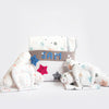 Twinkly Stars & Fairy Dust | Bedding Essentials Gift Basket