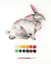 Diy : Paint Your Bunny