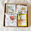 Newborn Gift Box - Into the Jungle