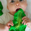 Kendall The Kale Natural Rubber Teether
