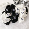 Party And Panda Love Pack Of Socks