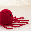 Octopus Soft Toy & Diwali Bodysuit Gift Set