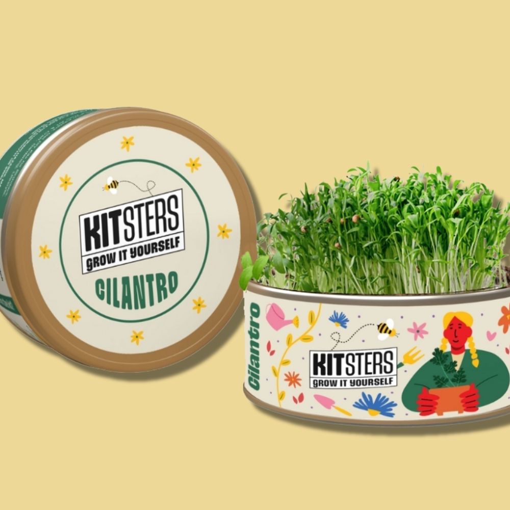 Cilantro Can Grow In A Can | Cilantro – mumma.com