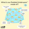 Padded Underwear | Bummy World