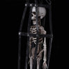 Cursed Coffin Skeleton
