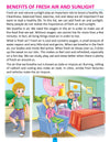 Children's Health Education - Book 5