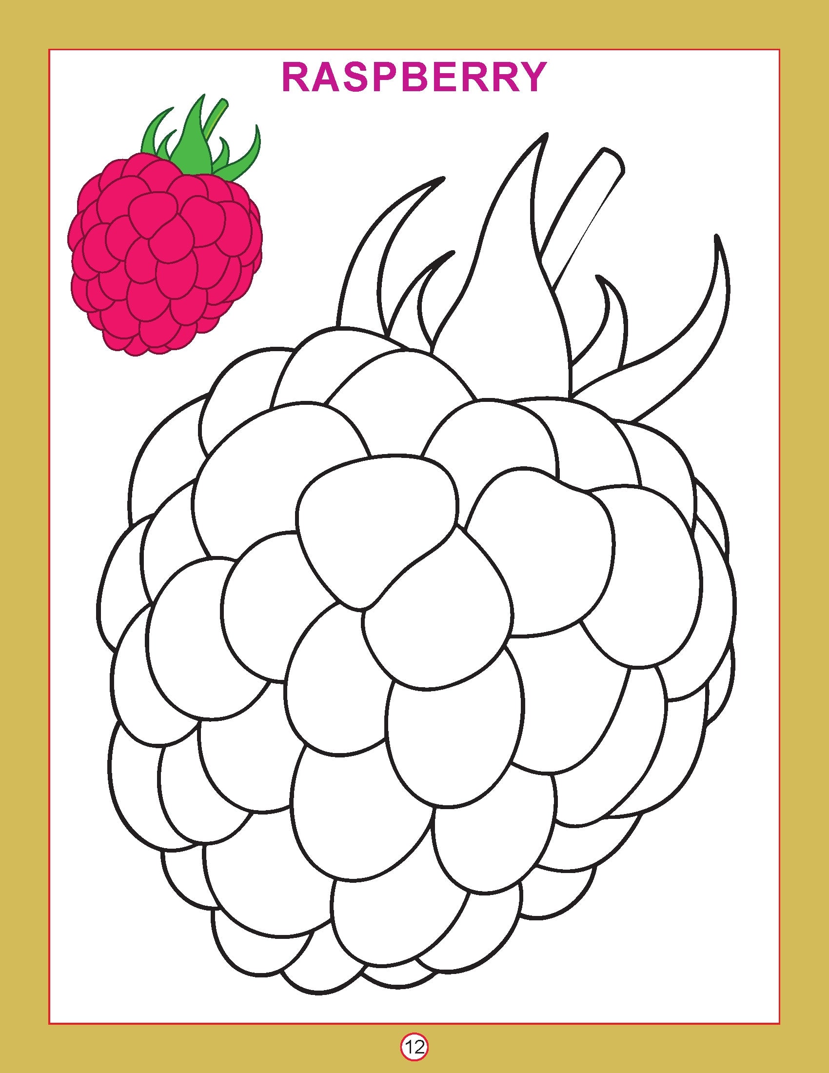 Copy Color Fruits Copy Colour - Fruits – mumma.com