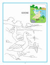 Creative Colouring Book - Water Animals