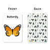 Insect Flash Cards | Pack Of 24