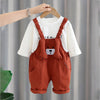 3D Brown Bear Hanging Legs Dungaree With Tshirt