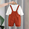 3D Brown Bear Hanging Legs Dungaree With Tshirt