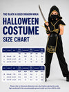 The Black & Gold Dragon Ninja, Kids Halloween Costume Fancy Dress Up