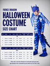 Fierce Dragon Kids Halloween Costume