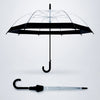 Black Big Border Transparent Umbrella for Teens & Adults